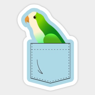 Quaker Parrot Monk Parakeet In Your Front Pocket Sticker